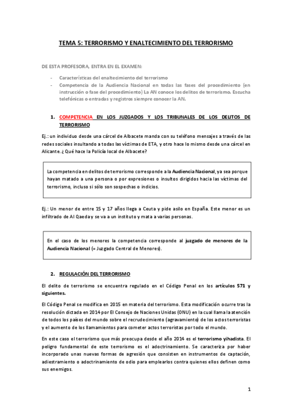 Miniatura del documento Terrorismo-y-enaltecimiento-del-terrorismo-Parte-de-Lucia.pdf