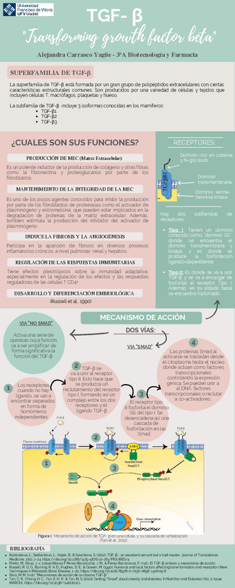 Miniatura del documento Tarea-Nivel-1-Subnivel-AAlejandra-Carrasco-Yague-1.pdf
