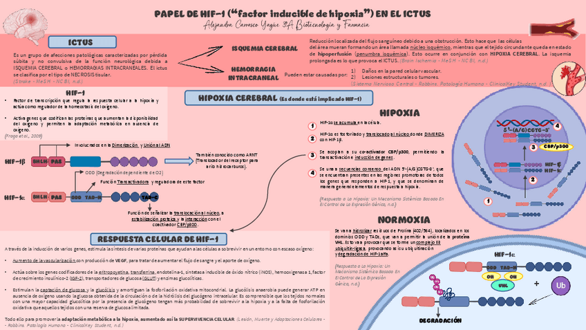 Miniatura del documento SECCION-2Nivel-1-Subivel-AAlejandra-Carrasco-Yague.pdf