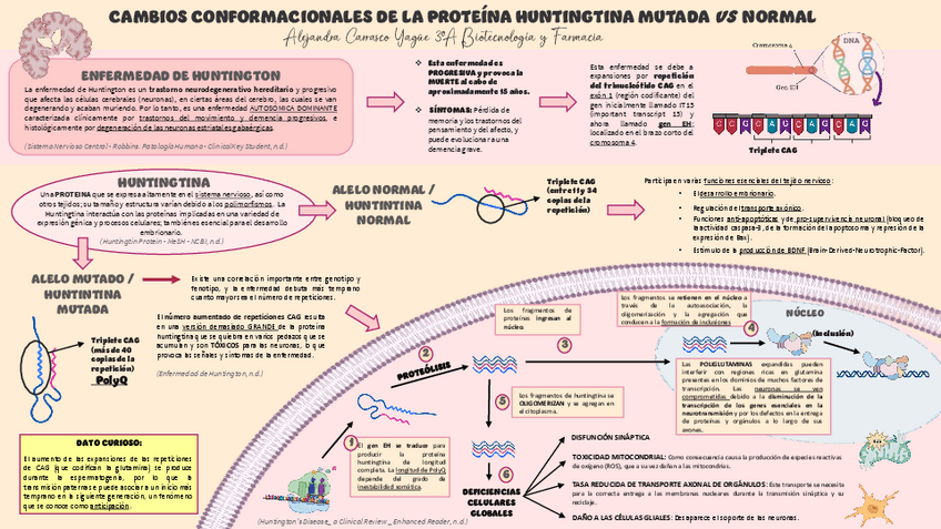 Miniatura del documento SECCION-2Nivel-2Alejandra-Carrasco-Yague.pdf