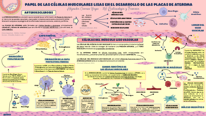 Miniatura del documento SECCION-4Nivel-1-Subnivel-BAlejandra-Carrasco-Yague.pdf