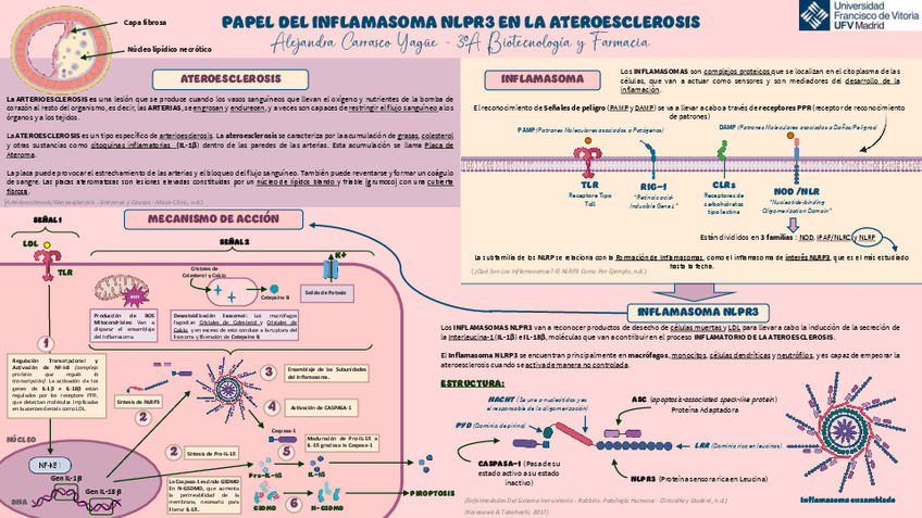 Miniatura del documento SECCION-4Nivel-2Alejandra-Carrasco-Yague.pdf