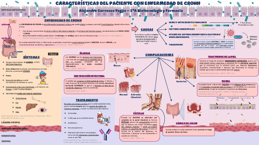 Miniatura del documento Tarea-Nivel-1-Subnivel-A-FISIOPATO.pdf