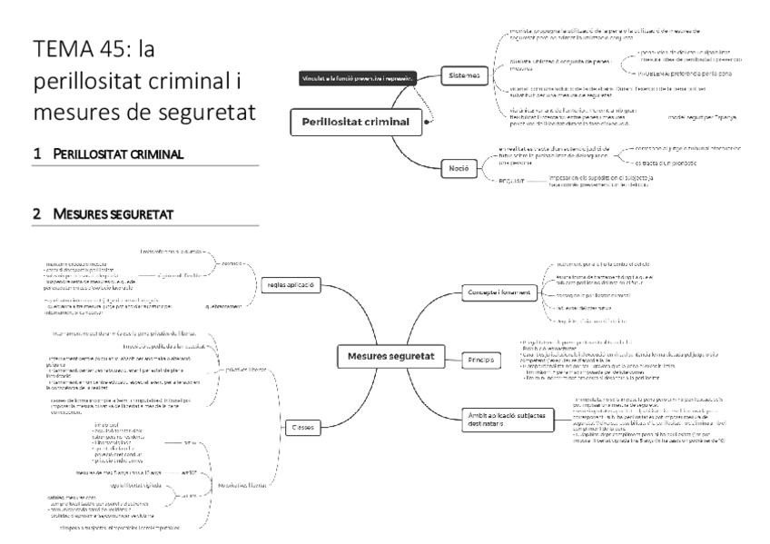 Miniatura del documento TEMA-45.pdf