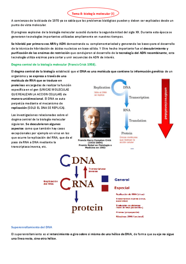 Miniatura del documento TEMA-8.-BIOLOGIA-MOLECULAR-I.pdf