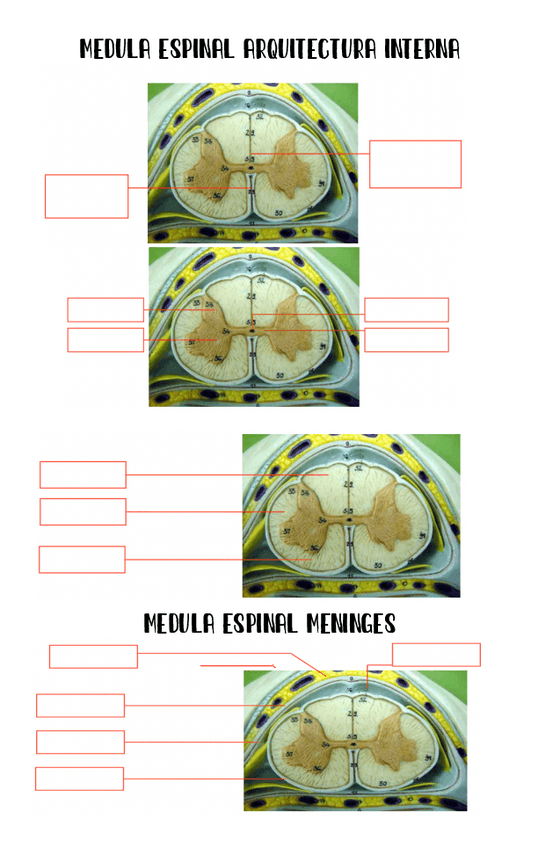 Miniatura del documento Gymcana-2.pdf
