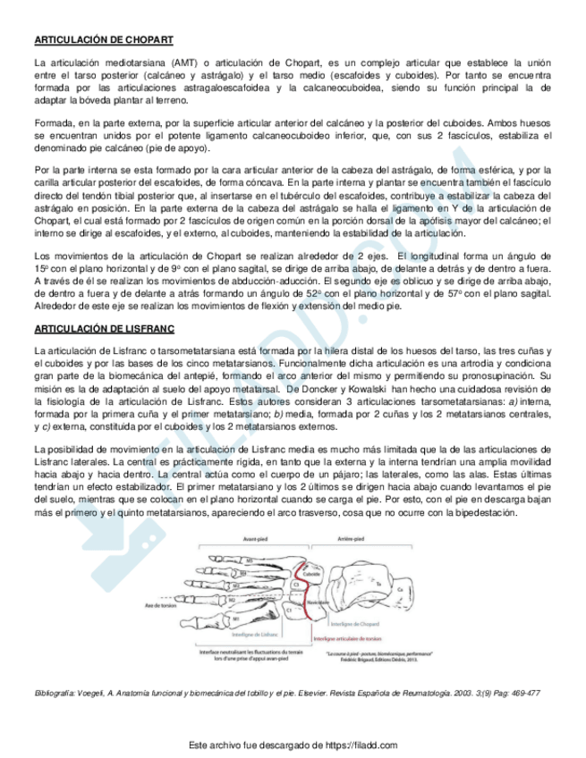 Miniatura del documento Ortopedia-y-traumatologia-articulacion-de-Chopart-y-lisfrac.pdf
