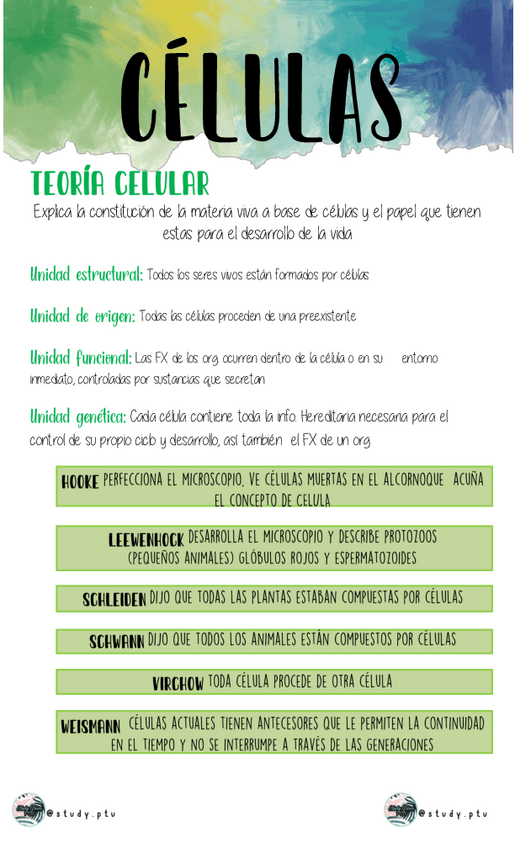 Miniatura del documento Tipos-de-celulas.pdf