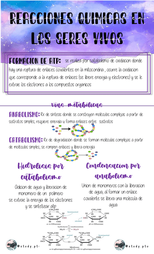 Miniatura del documento Reacciones-quimicas.pdf
