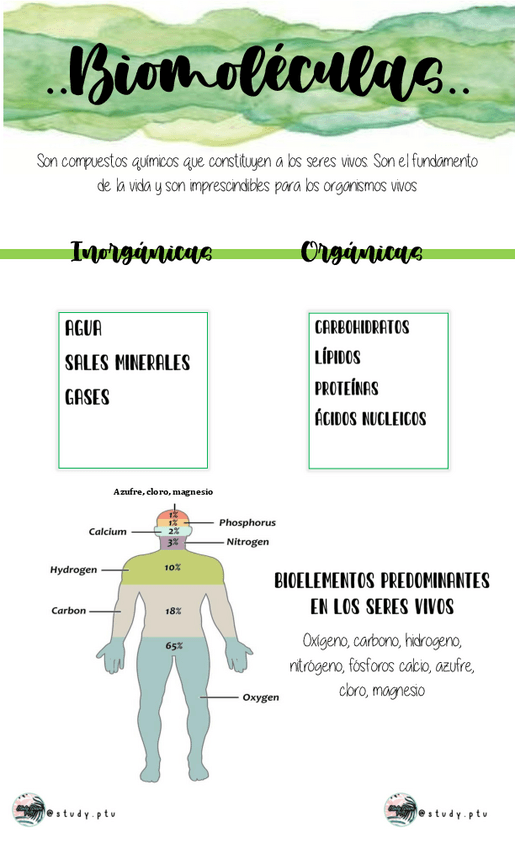 Miniatura del documento Biomoleculas.pdf