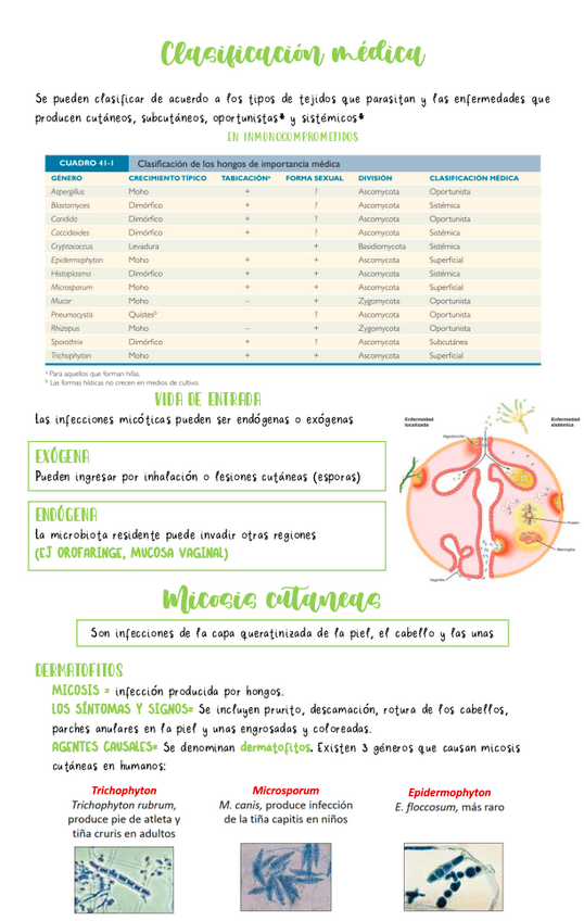 Miniatura del documento Clasificacion-medica-micologia.pdf