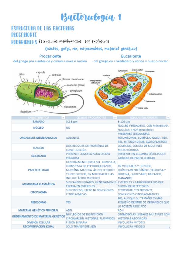 Miniatura del documento Cacteriologia-1.pdf