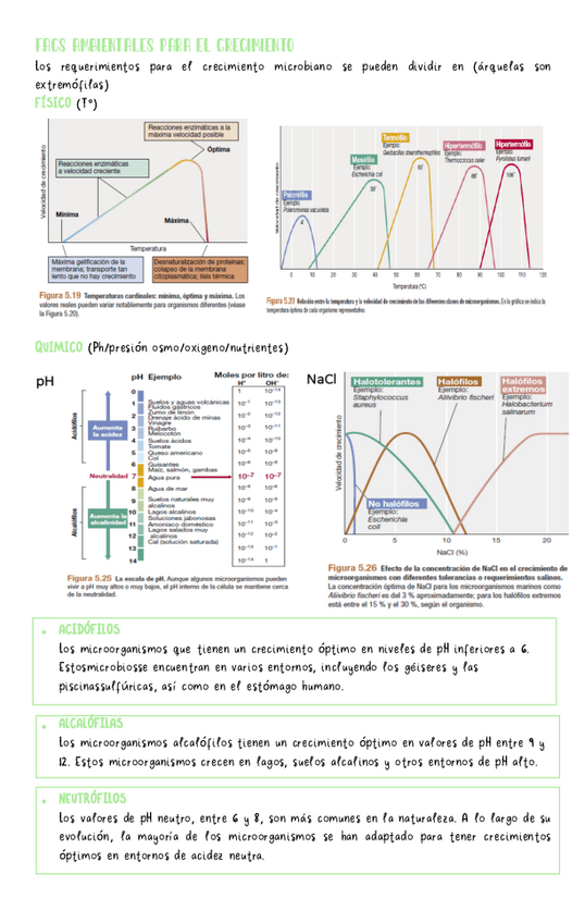 Miniatura del documento Bacteriologia-2.pdf