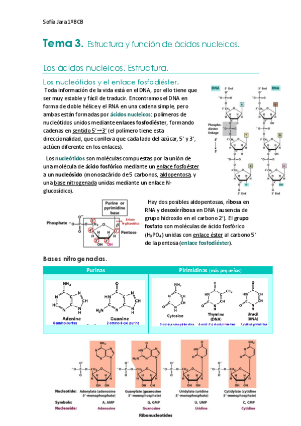 Miniatura del documento Tema-3.-Estructura-y-funcion-de-acidos-nucleicos.pdf