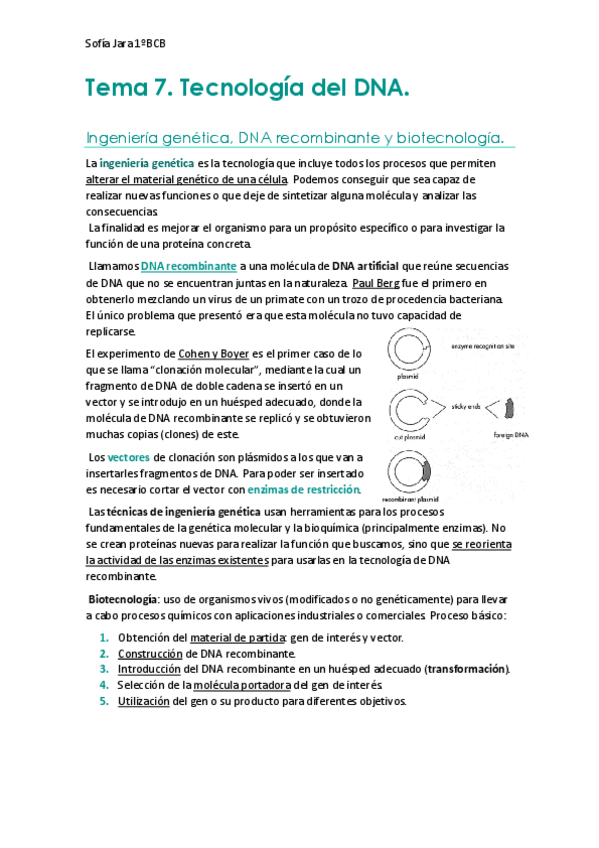 Miniatura del documento Tema-7.-Tecnologias-del-DNA.pdf
