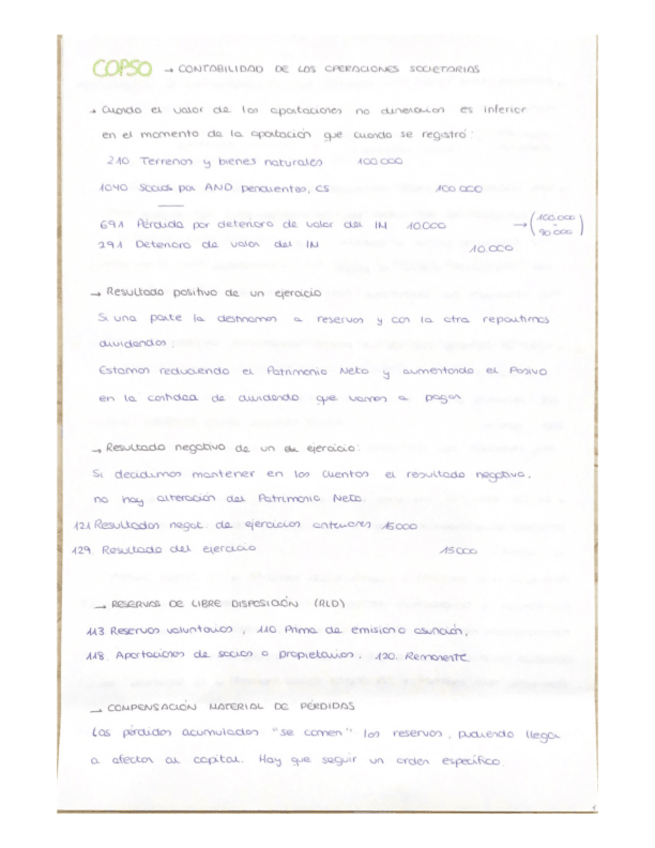 Miniatura del documento RESUMEN-IMPORTANTE-COPSO.pdf