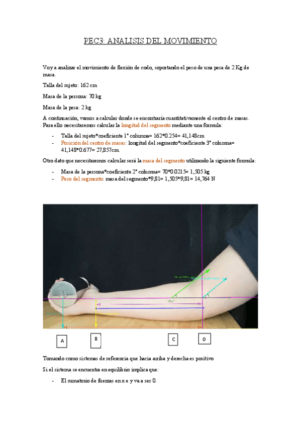 Miniatura del documento PEC-3-sofia.pdf
