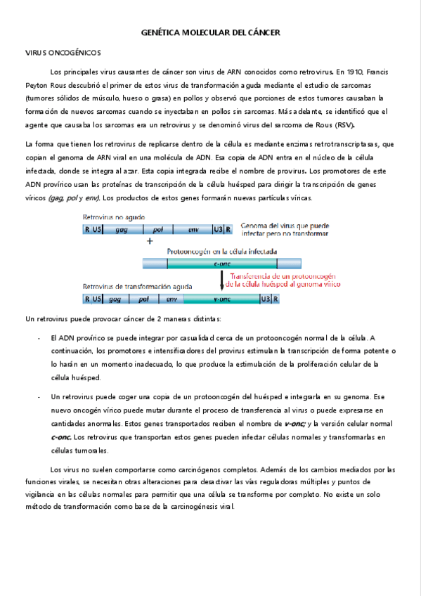 Miniatura del documento 7.-VIRUS-ONCOGENICOS.pdf
