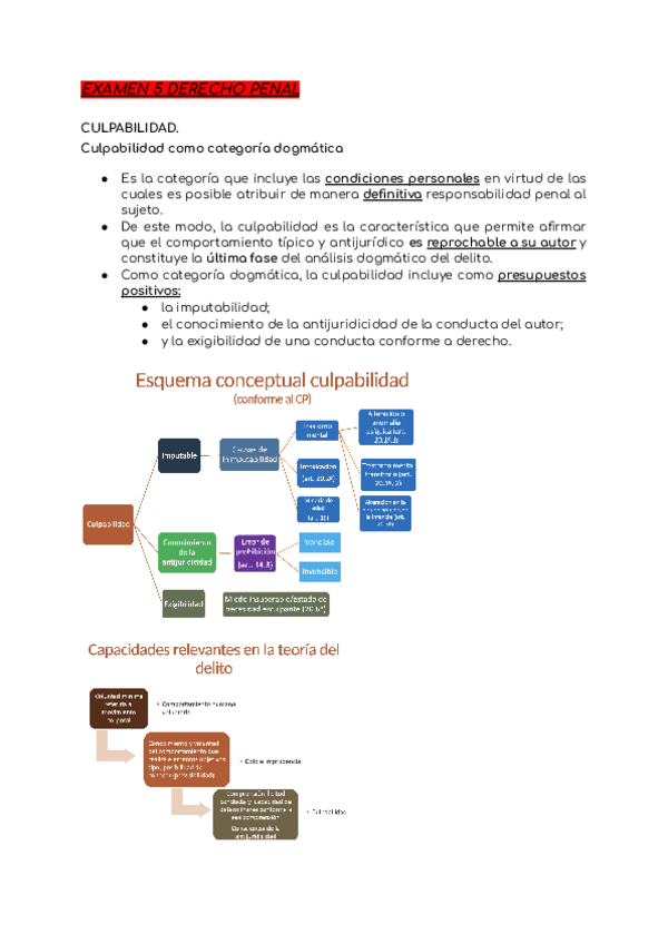 Miniatura del documento EXAMEN-5-DERECHO-PENAL.pdf