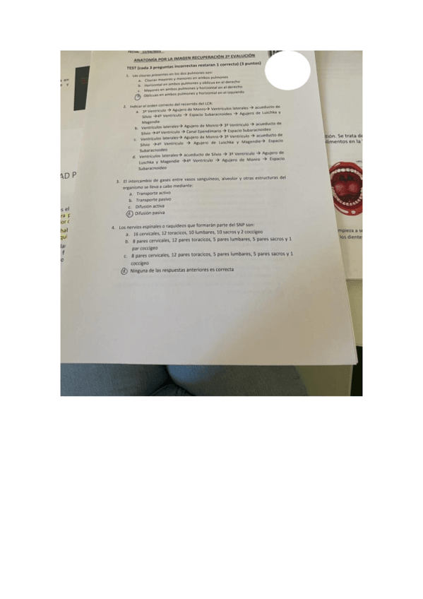 Miniatura del documento RECUPERACION-2-EVALUACION-ANATOMIA.pdf