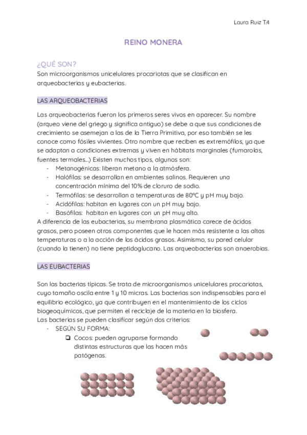 Miniatura del documento REINO-MONERA.docx.pdf