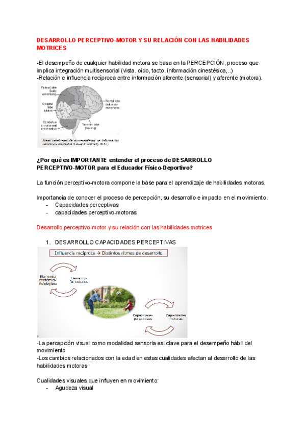 Miniatura del documento tema-9-Desarrollo-perceptivo-motor.pdf