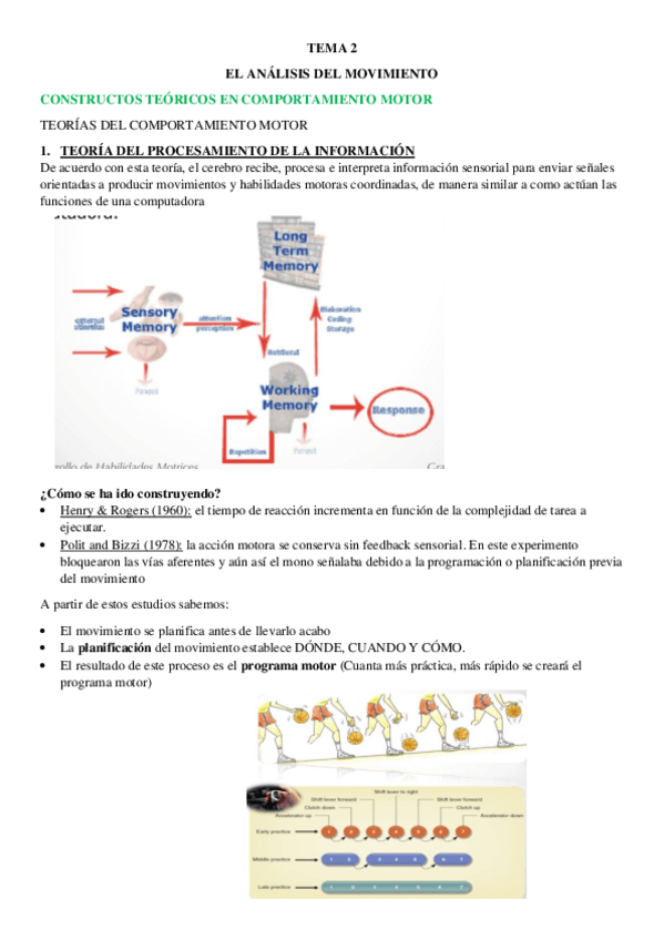 Miniatura del documento TEMA-2-apuntes.pdf