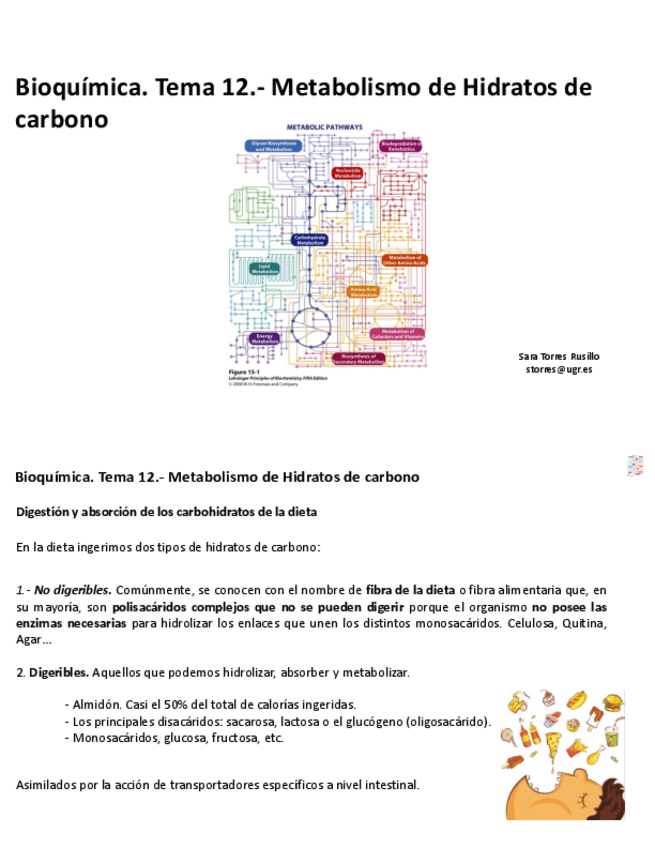 Miniatura del documento TEMAS-REPASO-METABOLISMO.pdf