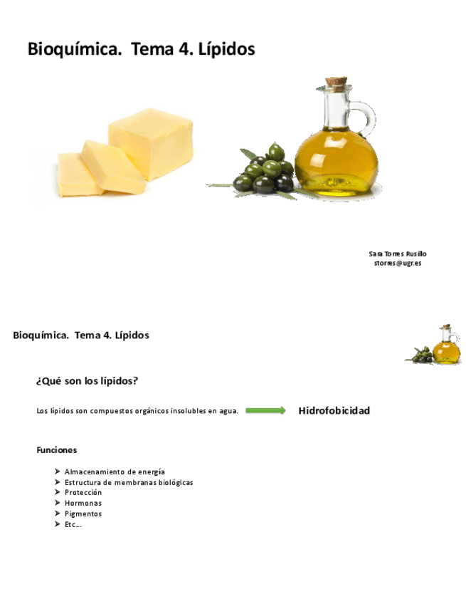 Miniatura del documento TEMA-4.pdf