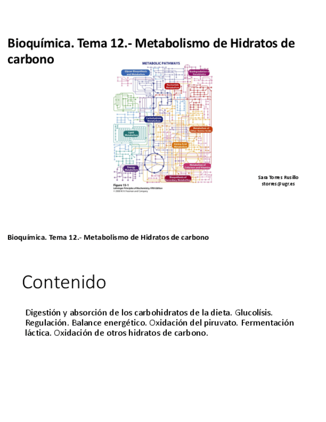 Miniatura del documento TEMA-12.pdf