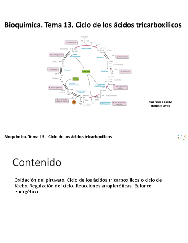 Miniatura del documento TEMA-13.pdf