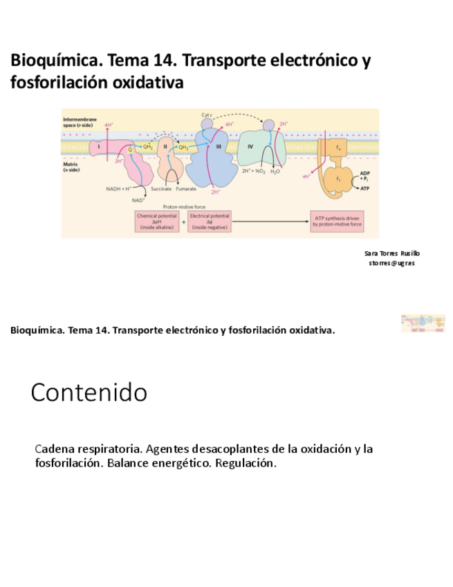 Miniatura del documento TEMA-14.pdf
