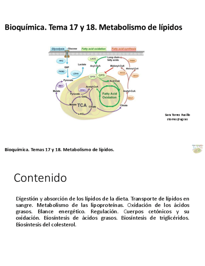 Miniatura del documento TEMA-17-Y-18.pdf