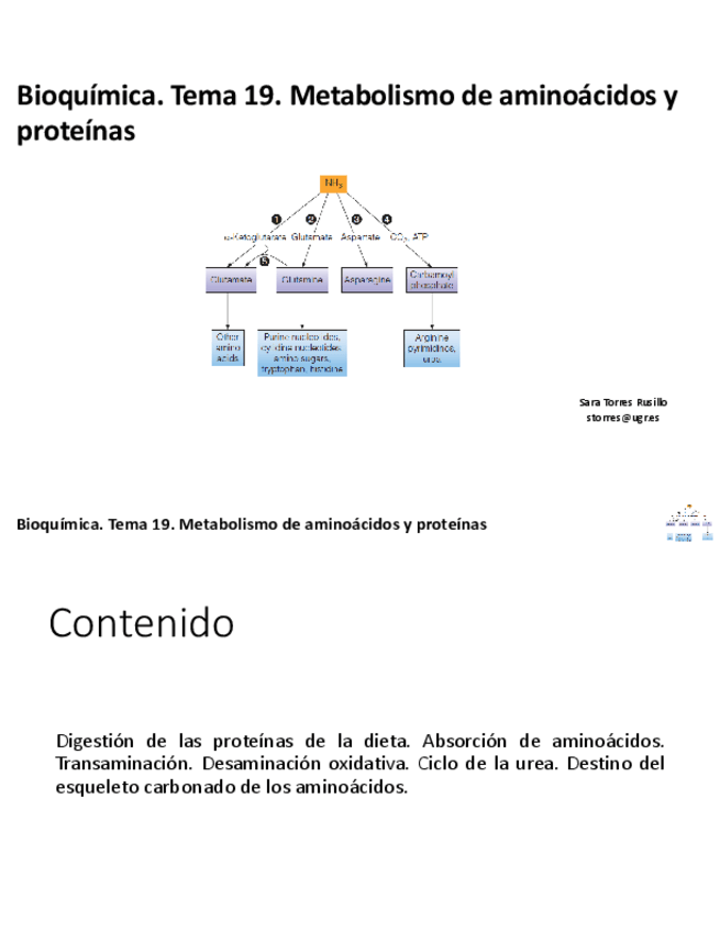 Miniatura del documento TEMA-19.pdf