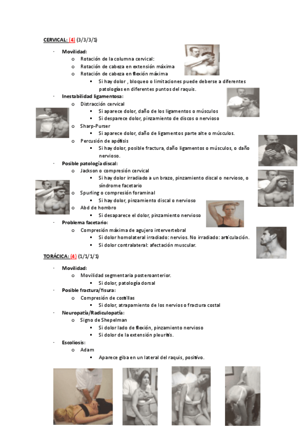 Miniatura del documento Pruebas-Funcionales.pdf