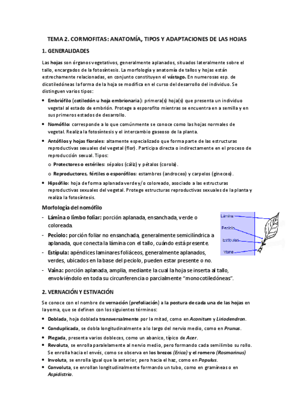 Miniatura del documento Tema 2.pdf