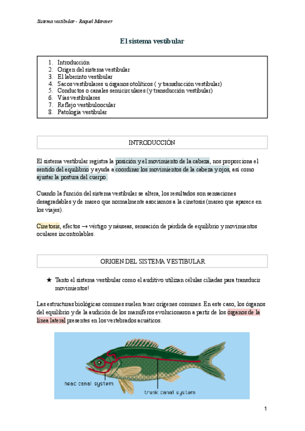 Miniatura del documento Sistema-vestibular.pdf