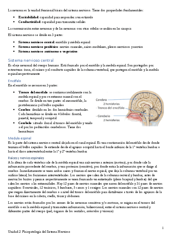 Miniatura del documento Apuntes-Unidad-2.pdf