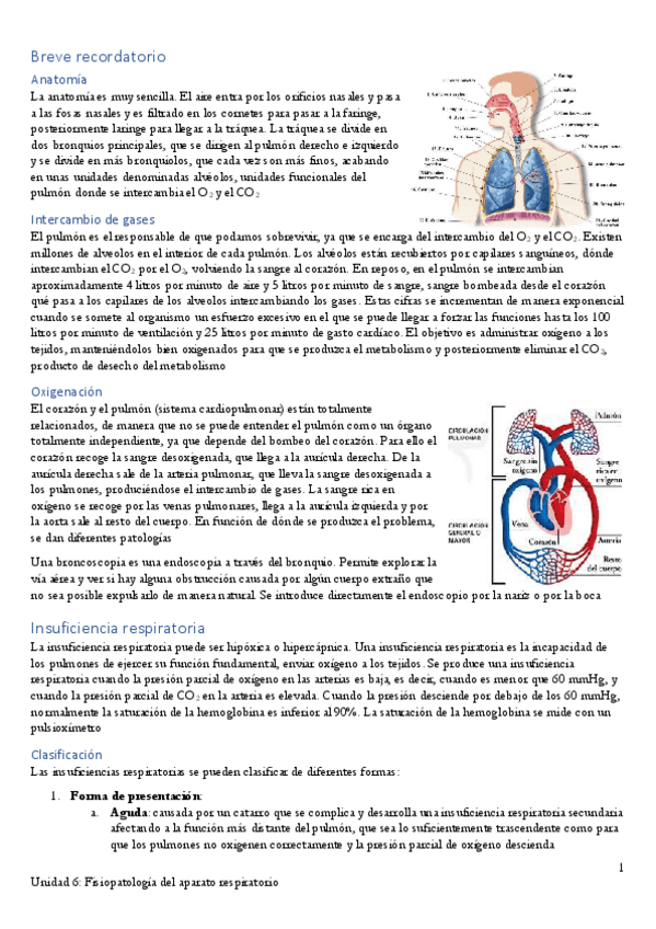 Miniatura del documento Apuntes-Unidad-6.pdf