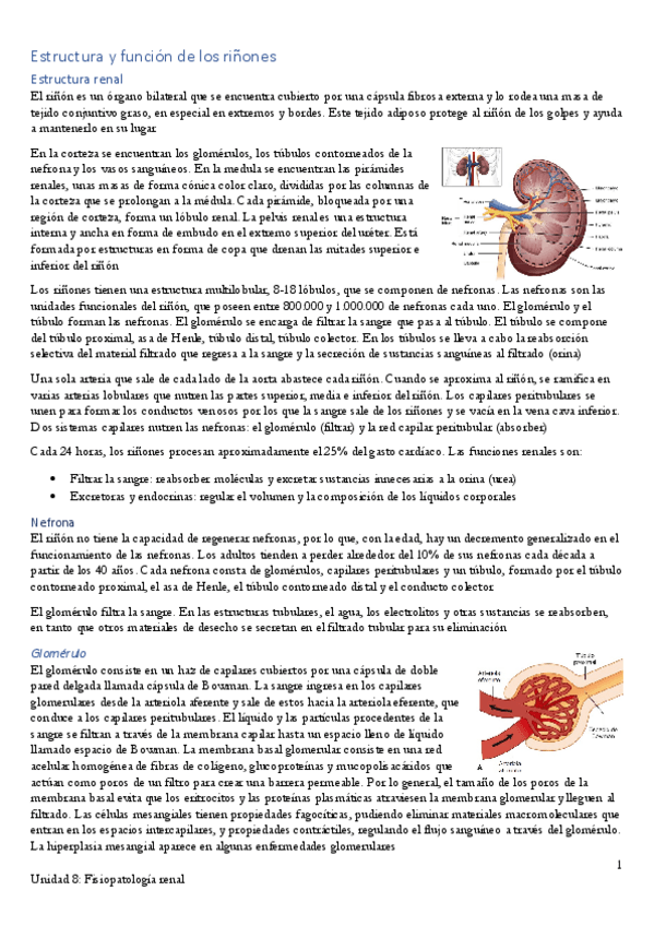 Miniatura del documento Apuntes-Unidad-8.pdf