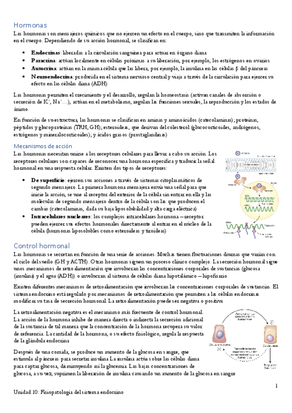 Miniatura del documento Apuntes-Unidad-10.pdf