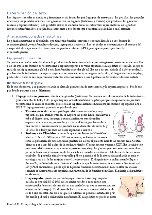 Miniatura del documento Apuntes-Unidad-11.pdf