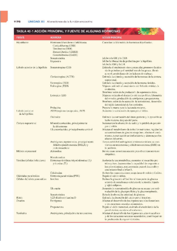 Miniatura del documento Tabla-endocrino.pdf