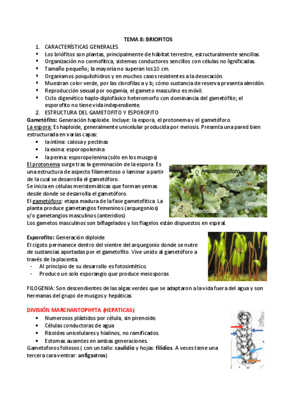 Miniatura del documento BOTANICA-t8-t10.pdf