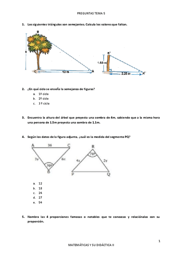 Miniatura del documento PREGUNTAS-TEMA-5.pdf