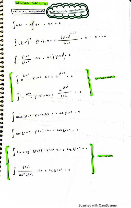 Miniatura del documento apuntes-mate-II.pdf