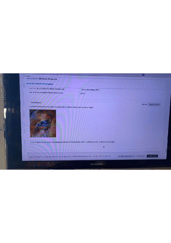 Miniatura del documento EXAMEN-EQUINO-II-JUNIO.pdf