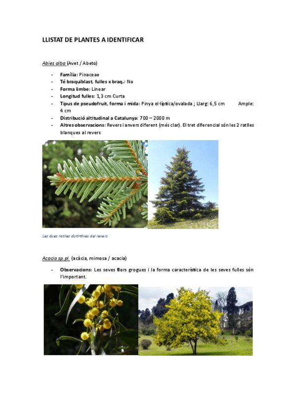 Miniatura del documento TOT-el-Llistat-de-plantes-a-identificar-explicat-BOTANICA.pdf