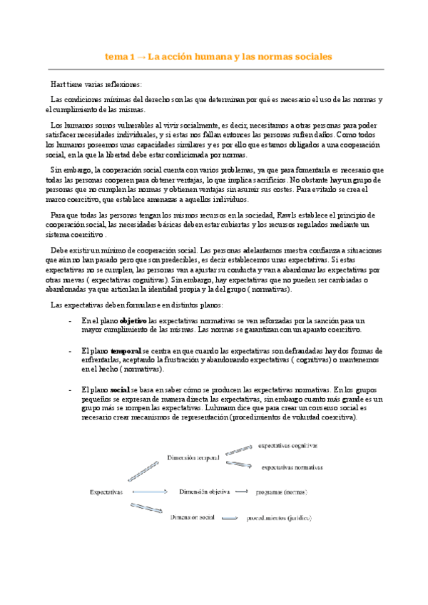 Miniatura del documento Teoría del Derecho, apuntes completos.pdf