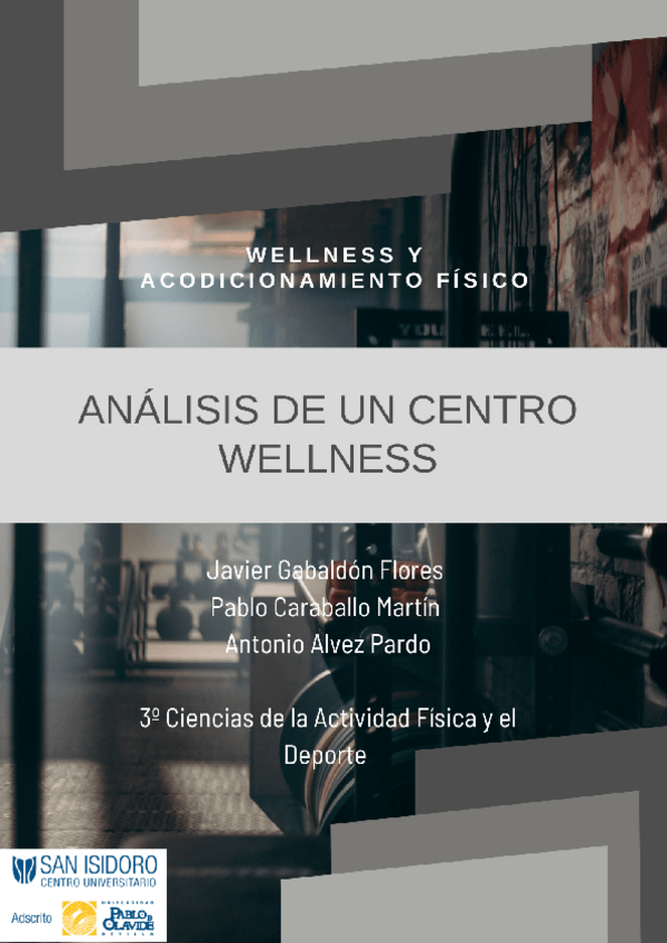 Miniatura del documento PROYECTO-1-ANALISIS-DE-UN-CENTRO-WELLNESS.pdf